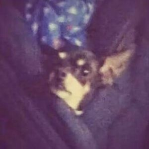 Meet your Posher, Alex